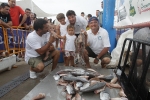 Tercera jornada de pesca del Trofeo ciudad de Burriana que celebra el Club Náutico