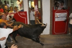 toro embolado lunes