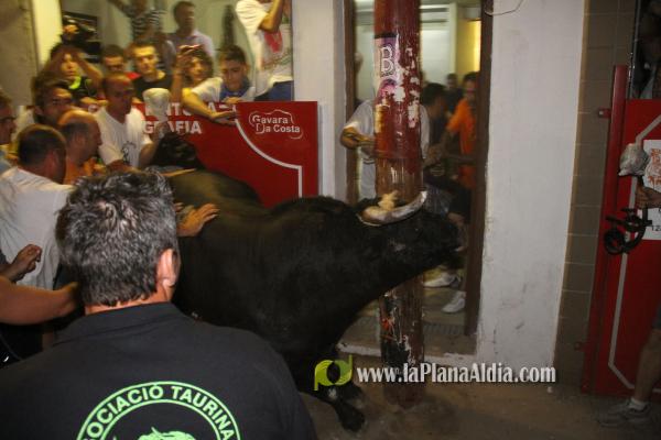 toro embolado lunes