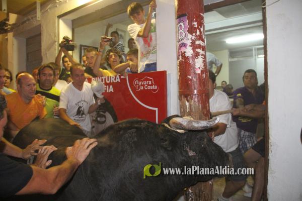 toro embolado lunes