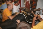 toro embolado lunes