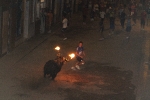 toro embolado lunes