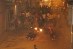 toro embolado lunes