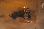 toro embolado lunes