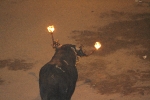 toro embolado lunes