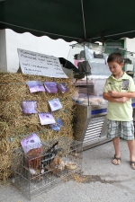 La Mostra de productes artesanals 