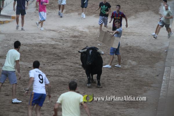 La lluvia obliga a aplazar hasta esta tarde los dos últimos toros de las fiestas de Sant Roc