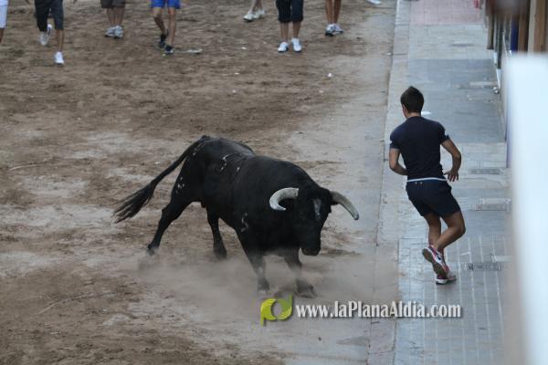 La lluvia obliga a aplazar hasta esta tarde los dos últimos toros de las fiestas de Sant Roc