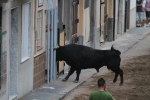 La lluvia obliga a aplazar hasta esta tarde los dos últimos toros de las fiestas de Sant Roc