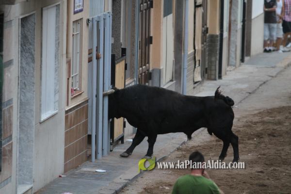 La lluvia obliga a aplazar hasta esta tarde los dos últimos toros de las fiestas de Sant Roc