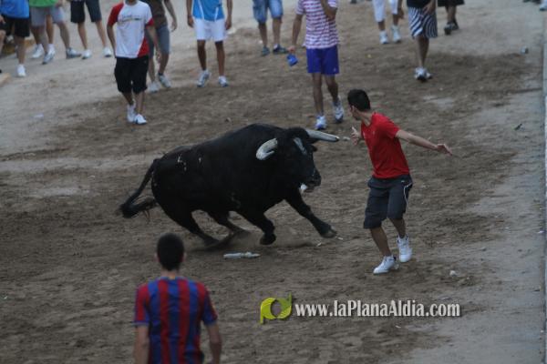 La lluvia obliga a aplazar hasta esta tarde los dos últimos toros de las fiestas de Sant Roc