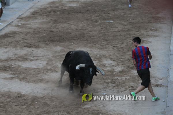 La lluvia obliga a aplazar hasta esta tarde los dos últimos toros de las fiestas de Sant Roc