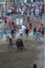 La lluvia obliga a aplazar hasta esta tarde los dos últimos toros de las fiestas de Sant Roc