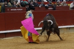 Los toros no acompañaron a los toreros