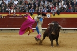Los toros no acompañaron a los toreros