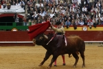 Los toros no acompañaron a los toreros