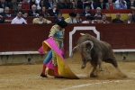 Los toros no acompañaron a los toreros