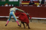 Los toros no acompañaron a los toreros