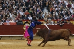 Los toros no acompañaron a los toreros