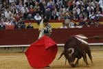 Los toros no acompañaron a los toreros