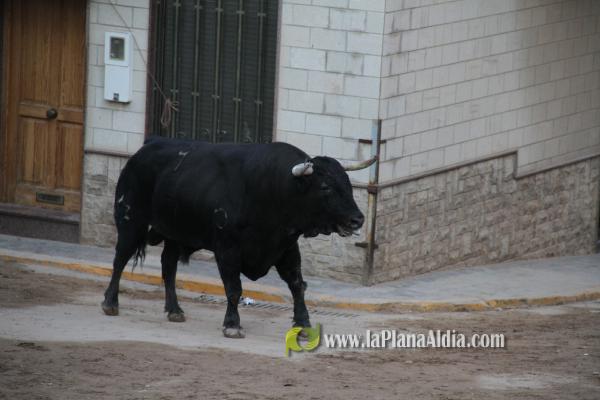 El Torrestrella y el Jandilla ponen el punto y final a las fiestas de Sant Roc