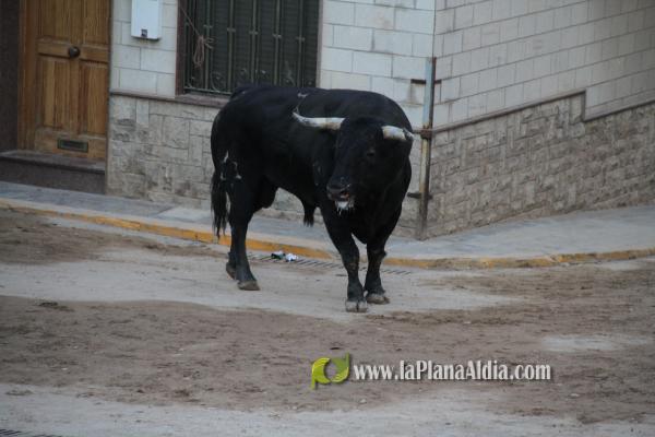 El Torrestrella y el Jandilla ponen el punto y final a las fiestas de Sant Roc