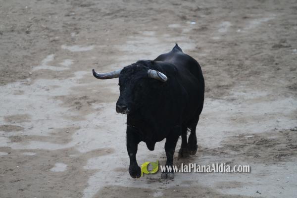 El Torrestrella y el Jandilla ponen el punto y final a las fiestas de Sant Roc
