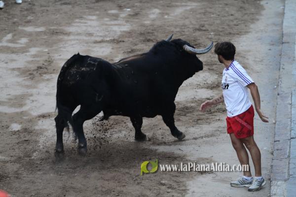 El Torrestrella y el Jandilla ponen el punto y final a las fiestas de Sant Roc