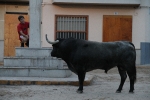 Un Victorino Martín abre las fiestas de Sant Xotxim en La Vilavella