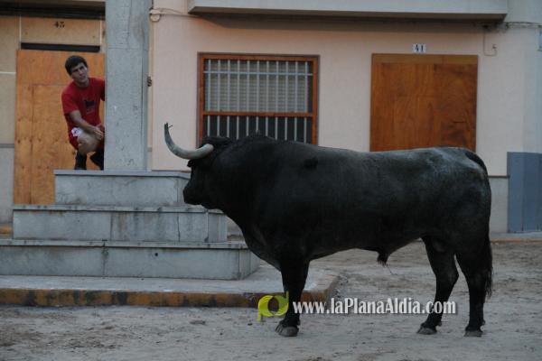 Un Victorino Martín abre las fiestas de Sant Xotxim en La Vilavella
