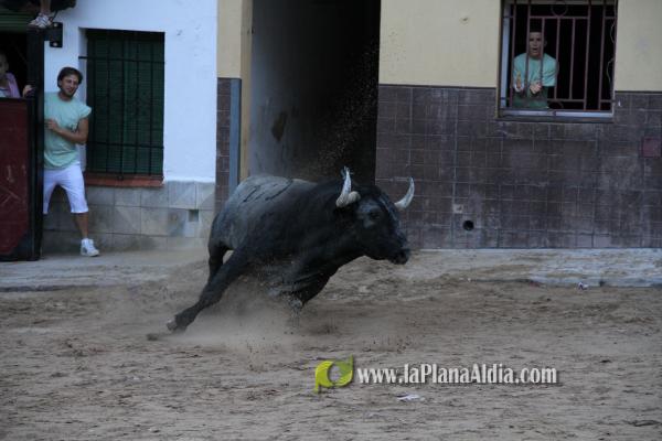 Un Victorino Martín abre las fiestas de Sant Xotxim en La Vilavella