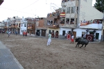 Un Victorino Martín abre las fiestas de Sant Xotxim en La Vilavella