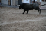 Un Victorino Martín abre las fiestas de Sant Xotxim en La Vilavella