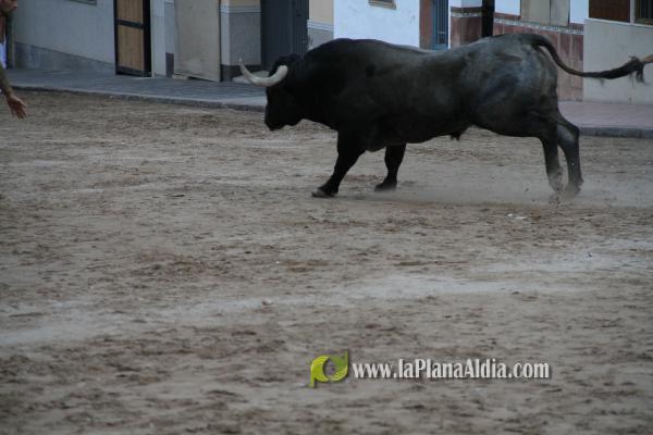 Un Victorino Martín abre las fiestas de Sant Xotxim en La Vilavella