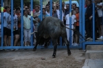 Un Victorino Martín abre las fiestas de Sant Xotxim en La Vilavella