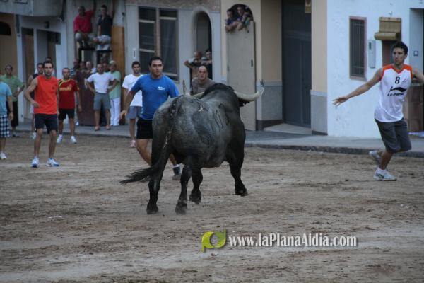 Un Victorino Martín abre las fiestas de Sant Xotxim en La Vilavella