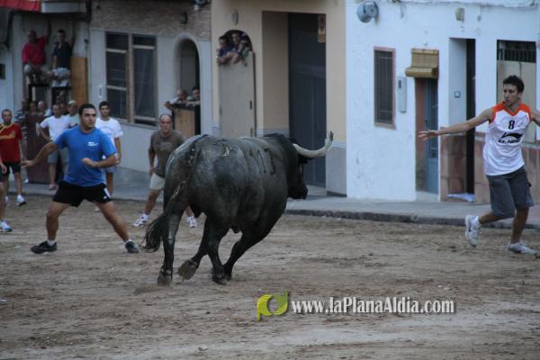 Un Victorino Martín abre las fiestas de Sant Xotxim en La Vilavella