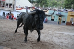 Un Victorino Martín abre las fiestas de Sant Xotxim en La Vilavella
