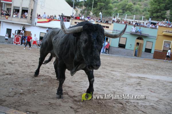Un Victorino Martín abre las fiestas de Sant Xotxim en La Vilavella