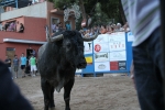 Un Victorino Martín abre las fiestas de Sant Xotxim en La Vilavella