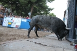 Un Victorino Martín abre las fiestas de Sant Xotxim en La Vilavella
