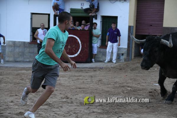 Un Victorino Martín abre las fiestas de Sant Xotxim en La Vilavella