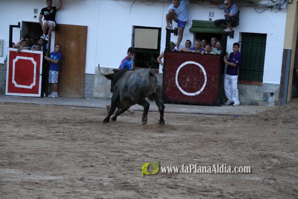 Un Victorino Martín abre las fiestas de Sant Xotxim en La Vilavella