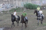 Volta a cavall