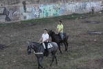 Volta a cavall