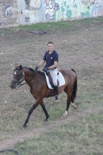 Volta a cavall