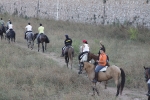 Volta a cavall