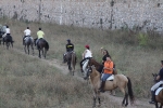 Volta a cavall