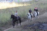 Volta a cavall