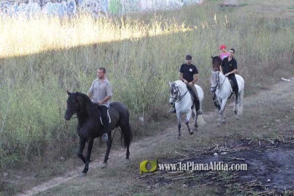 Volta a cavall